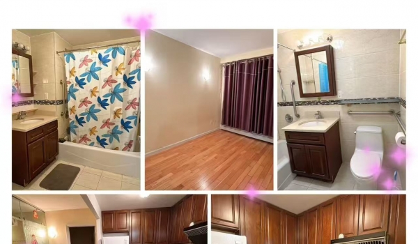 最新出租🤝欢迎租客