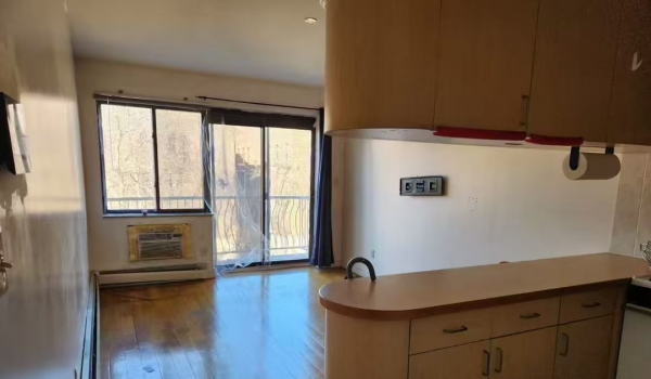 法拉盛中心电梯condo 出租