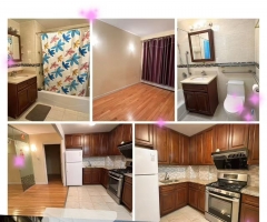 ���³���🤝��ӭ���